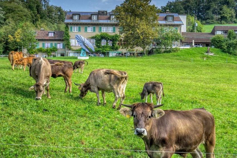 28. bis 31. August 25  TAI – Wochenende im Seminarhaus Herzberg/CH